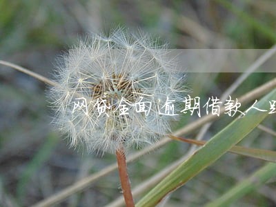 网贷全面逾期借款人跑路 网贷全面逾期借款人跑路