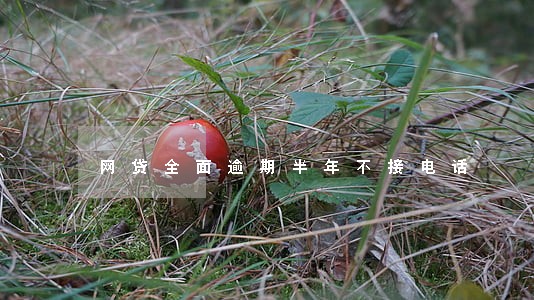 网贷全面逾期半年不接电话