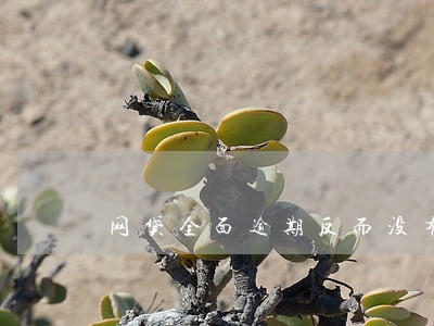 网贷全面逾期反而没有压力了