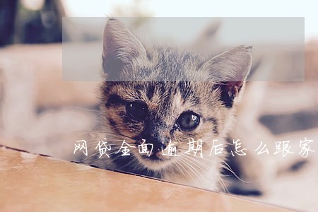 网贷全面逾期后怎么跟家里人坦白 网贷全面逾期后怎么跟家里人坦白