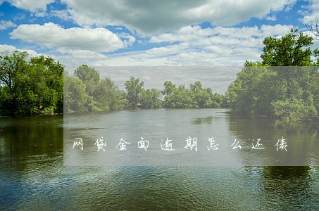 网贷全面逾期怎么还债 网贷全面逾期怎么还债