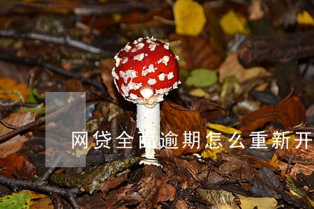 网贷全面逾期怎么重新开始 网贷全面逾期怎么重新开始