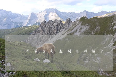 网贷全面逾期怎样解决 网贷全面逾期怎样解决
