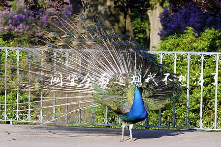 网贷全面逾期我不想活了 网贷全面逾期我不想活了