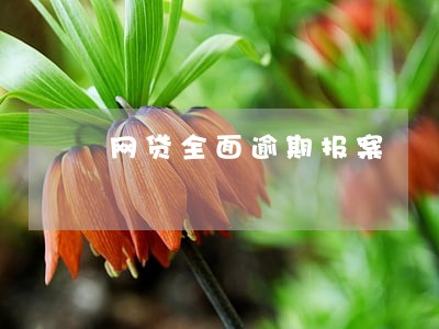 网贷全面逾期报案 网贷全面逾期报案