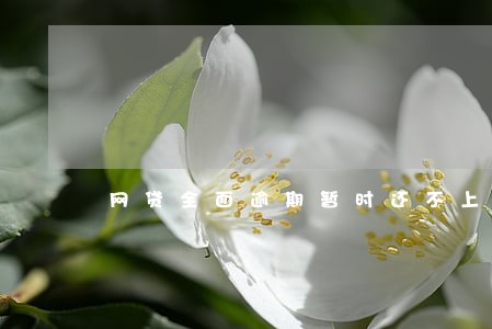 网贷全面逾期暂时还不上 网贷全面逾期暂时还不上
