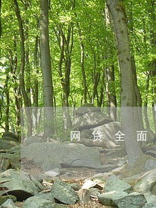 网贷全面逾期的人有多少 网贷全面逾期的人有多少