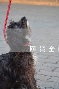 网贷全面逾期被起诉 网贷全面逾期被起诉