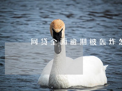 网贷全面逾期被轰炸怎么办