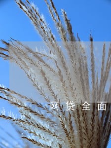 网贷全面逾期要不要关机 网贷全面逾期要不要关机