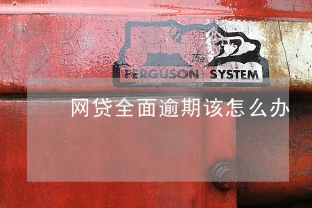 网贷全面逾期该怎么办 网贷全面逾期该怎么办
