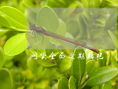 网贷全面逾期贴吧 网贷全面逾期贴吧