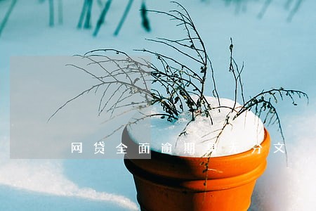 网贷全面逾期身无分文 网贷全面逾期身无分文