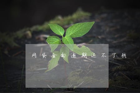 网贷全面逾期还不了钱 网贷全面逾期还不了钱