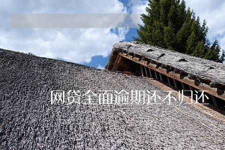 网贷全面逾期还不归还 网贷全面逾期还不归还