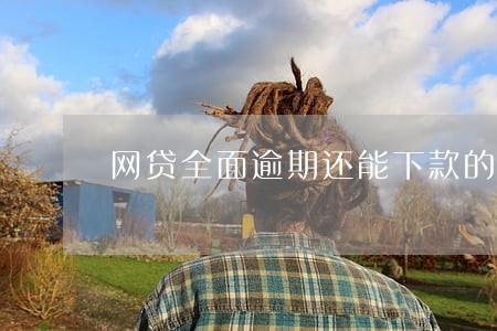 网贷全面逾期还能下款的口子 网贷全面逾期还能下款的口子