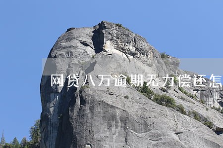 网贷八万逾期无力偿还怎么处理 网贷八万逾期无力偿还怎么处理