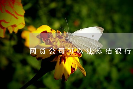 网贷公司可以让冻结银行卡吗