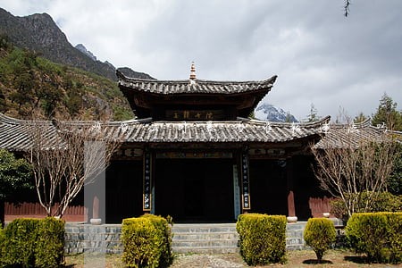 网贷公司暴力催款违法吗