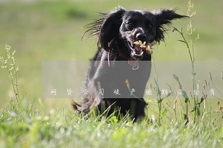 网贷公司破产逾期征信有问题 网贷公司破产逾期征信有问题