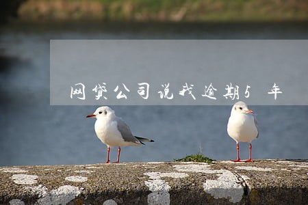 网贷公司说我逾期5年 网贷公司说我逾期5年