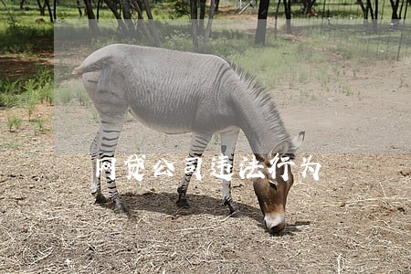 网贷公司违法行为 网贷公司违法行为