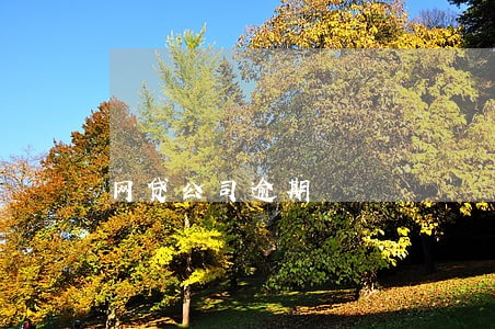 网贷公司逾期 网贷公司逾期