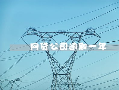 网贷公司逾期一年