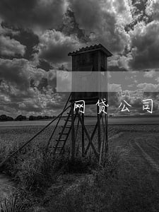网贷公司逾期上门催收 网贷公司逾期上门催收