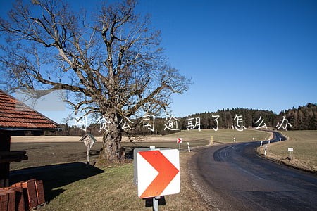 网贷公司逾期了怎么办 网贷公司逾期了怎么办