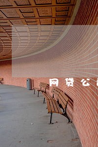 网贷公司逾期投资人 网贷公司逾期投资人