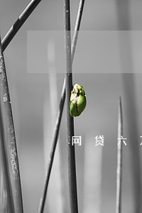 网贷六万多逾期一年了 网贷六万多逾期一年了