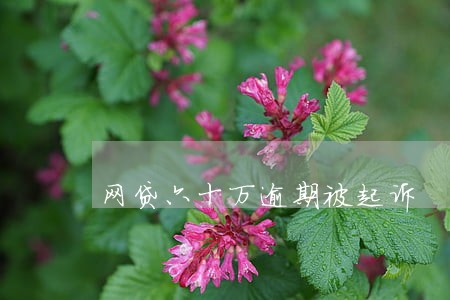 网贷六十万逾期被起诉 网贷六十万逾期被起诉