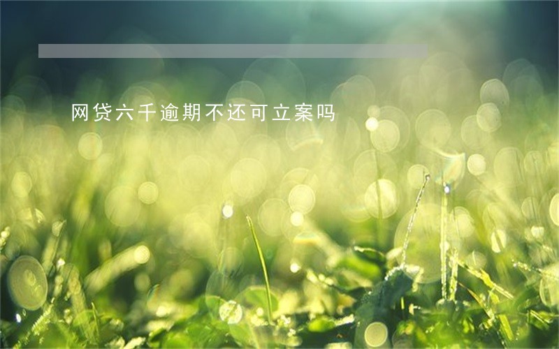 网贷六千逾期不还可立案吗 网贷六千逾期不还可立案吗