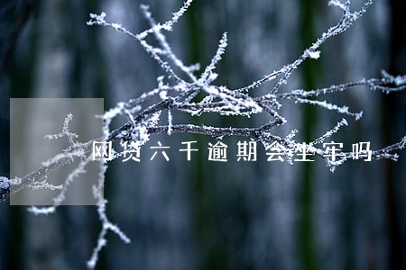 网贷六千逾期会坐牢吗 网贷六千逾期会坐牢吗