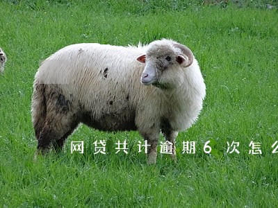 网贷共计逾期6次怎么办 网贷共计逾期6次怎么办