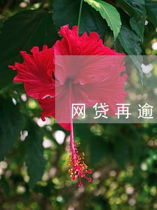 网贷再逾期能不能办信用卡 网贷再逾期能不能办信用卡