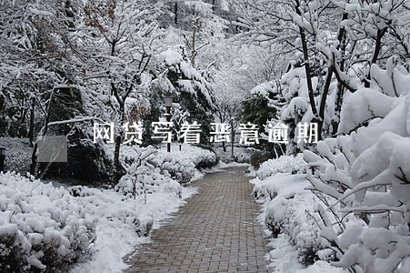 网贷写着恶意逾期 网贷写着恶意逾期