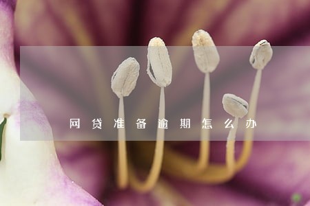 网贷准备逾期怎么办