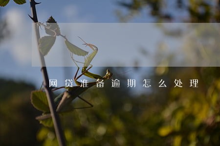 网贷准备逾期怎么处理 网贷准备逾期怎么处理