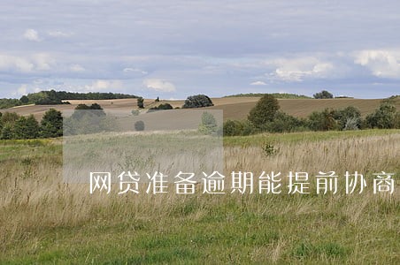 网贷准备逾期能提前协商 网贷准备逾期能提前协商