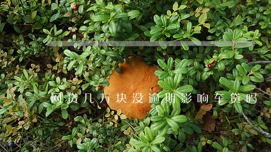 网贷几万块没逾期影响车贷吗 网贷几万块没逾期影响车贷吗