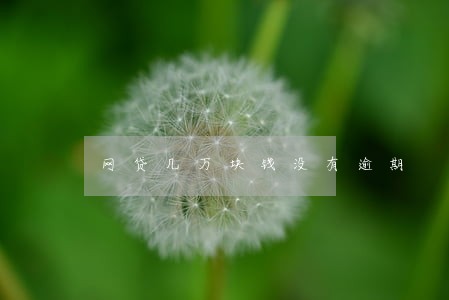 网贷几万块钱没有逾期 网贷几万块钱没有逾期