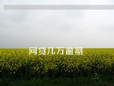 网贷几万逾期 网贷几万逾期