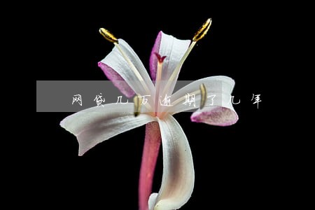 网贷几万逾期了几年