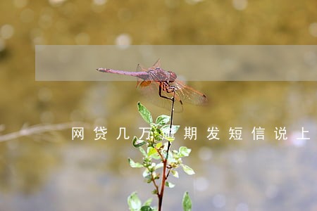网贷几万逾期发短信说上门 网贷几万逾期发短信说上门