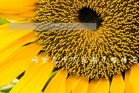 网贷几十万逾期了暂时还不上 网贷几十万逾期了暂时还不上