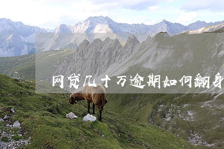 网贷几十万逾期如何翻身