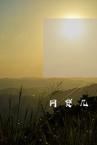 网贷几十个都逾期怎么办
