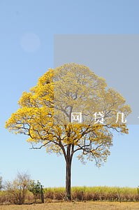 网贷几十块逾期征信 网贷几十块逾期征信